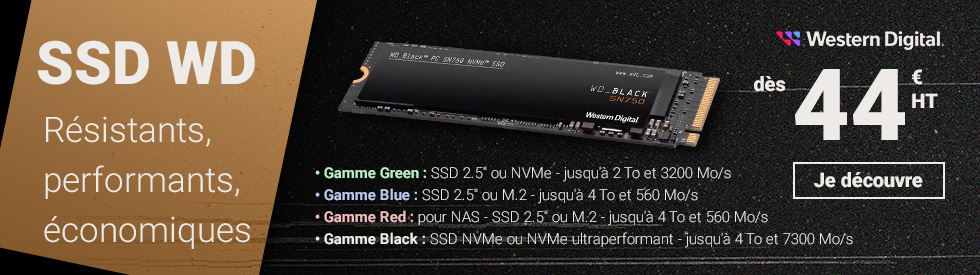 Disque SSD interne Disque SSD 2.5 pouces : Achat / Vente Disque