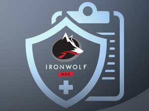 Seagate IronWolf ST8000VN004 (ST8000VN004) : achat / vente Disque dur  interne sur